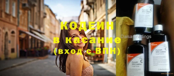 гашик Елизово
