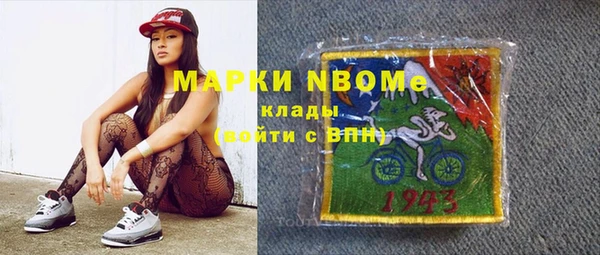 гашик Елизово