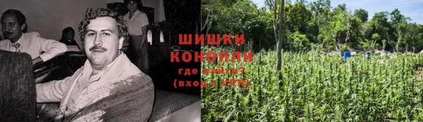 марки lsd Ельня