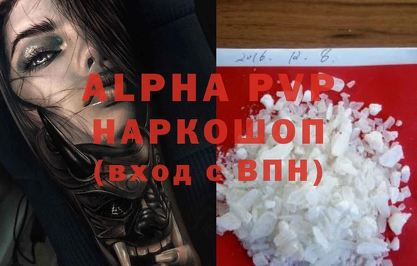 гашик Елизово
