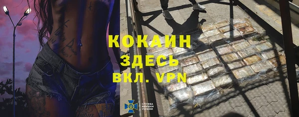 гашик Елизово