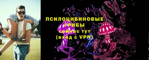 гашик Елизово