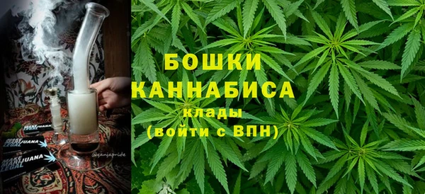 гашик Елизово
