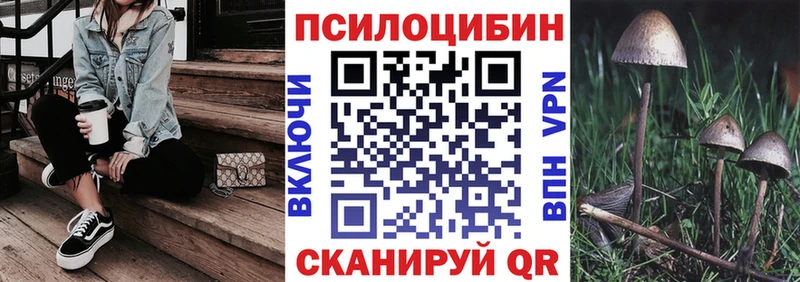 Псилоцибиновые грибы мухоморы  Купить  Западная Двина 