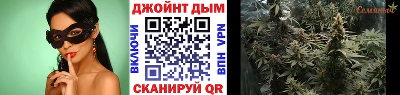 Конопля AK-47  Купить  Западная Двина 